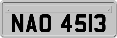 NAO4513