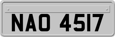 NAO4517