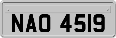 NAO4519