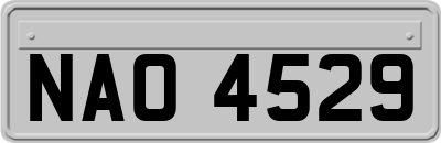 NAO4529