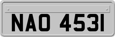 NAO4531