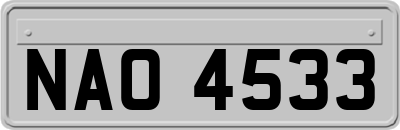 NAO4533