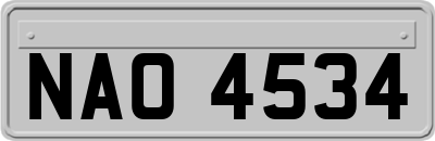 NAO4534