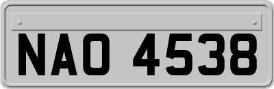 NAO4538