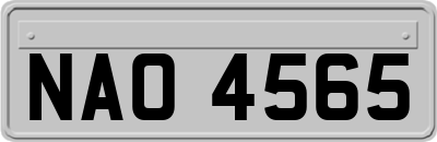 NAO4565