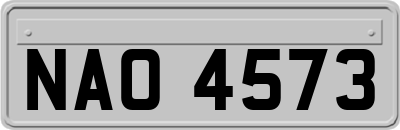 NAO4573