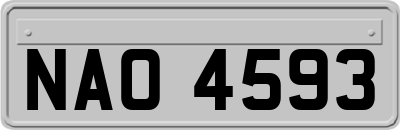 NAO4593