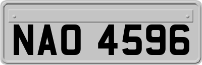 NAO4596