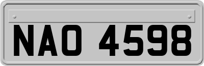 NAO4598