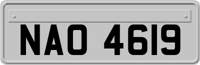 NAO4619