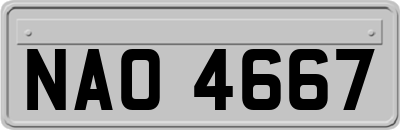 NAO4667