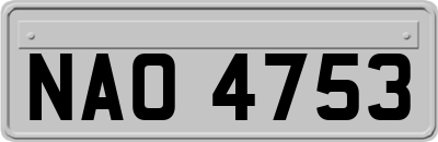 NAO4753