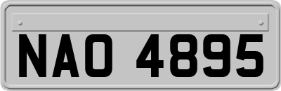 NAO4895