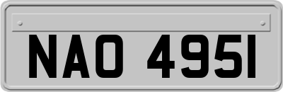 NAO4951