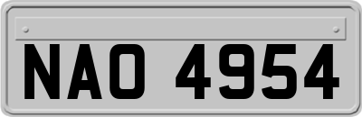 NAO4954