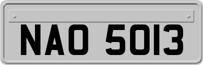 NAO5013