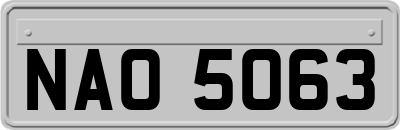 NAO5063