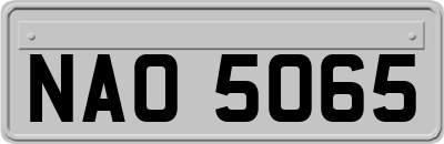 NAO5065