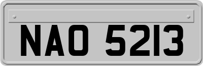 NAO5213