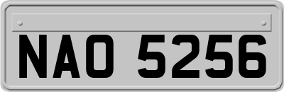 NAO5256