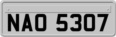 NAO5307