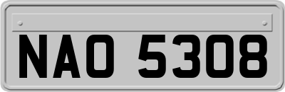 NAO5308