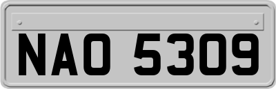 NAO5309