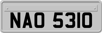 NAO5310