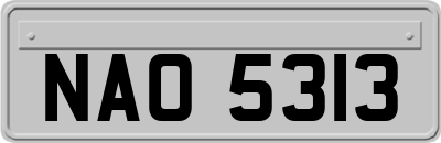 NAO5313