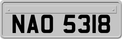 NAO5318