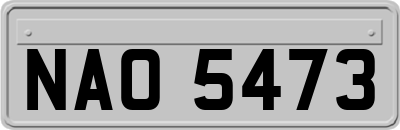 NAO5473