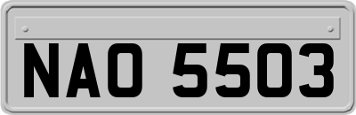 NAO5503