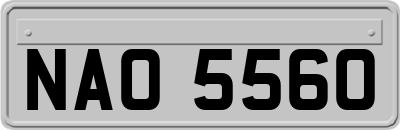 NAO5560