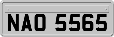 NAO5565