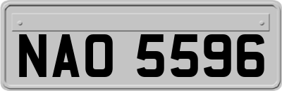 NAO5596