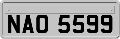 NAO5599