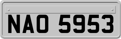 NAO5953