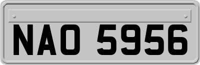 NAO5956