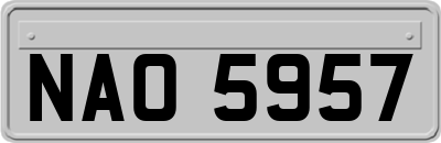 NAO5957