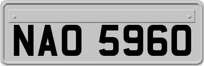 NAO5960