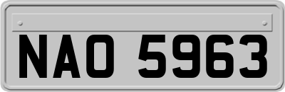 NAO5963