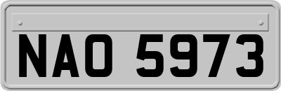 NAO5973