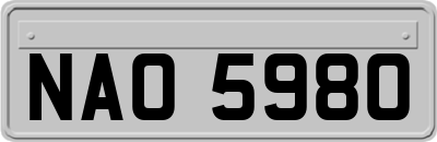 NAO5980