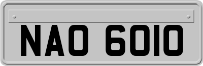 NAO6010