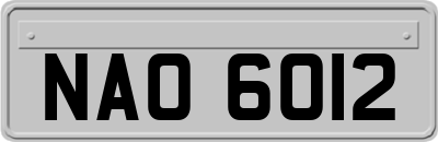 NAO6012