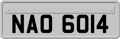 NAO6014