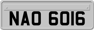 NAO6016