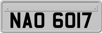 NAO6017