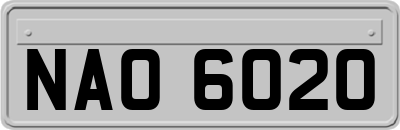 NAO6020