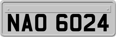 NAO6024